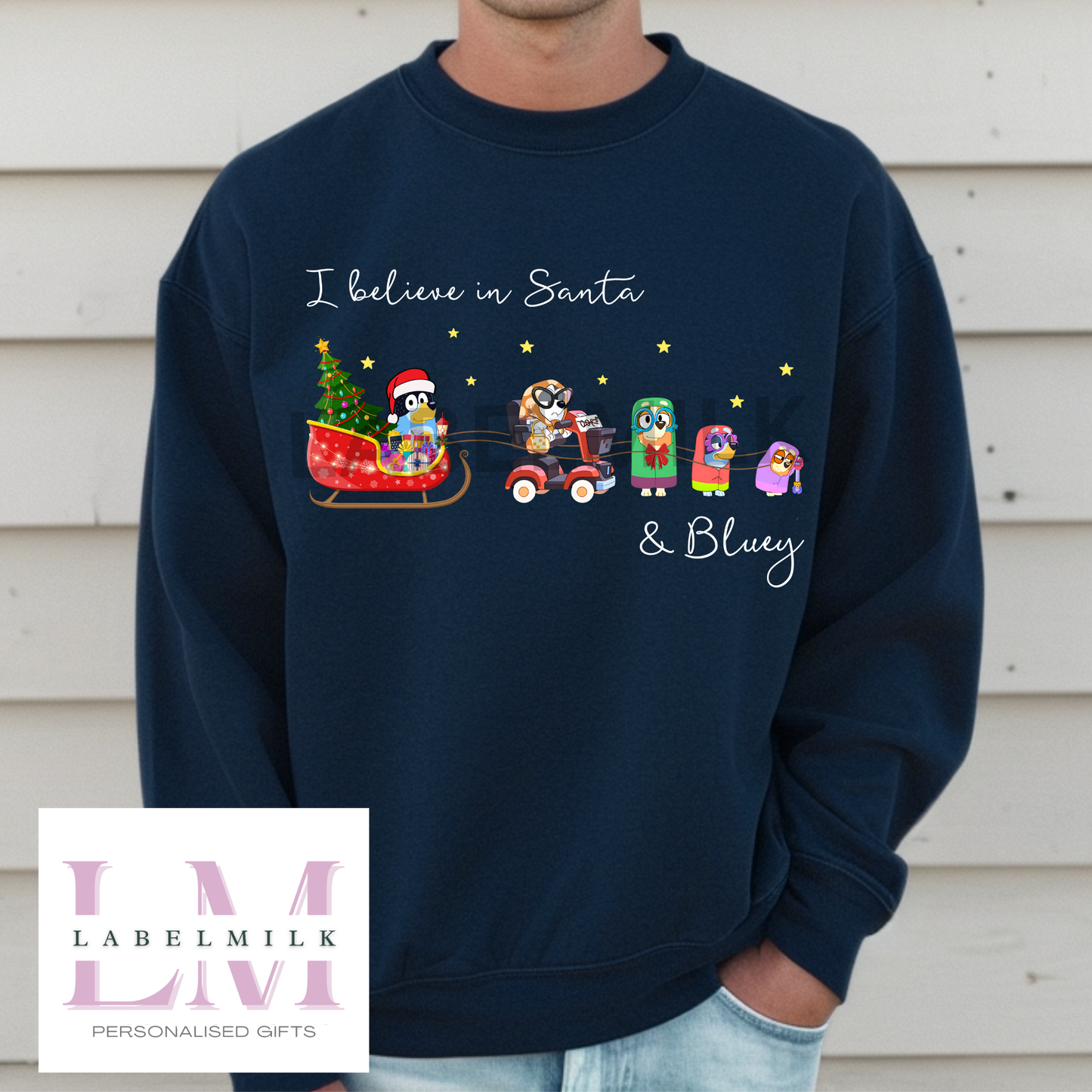 Adult Bluey Christmas Jumper