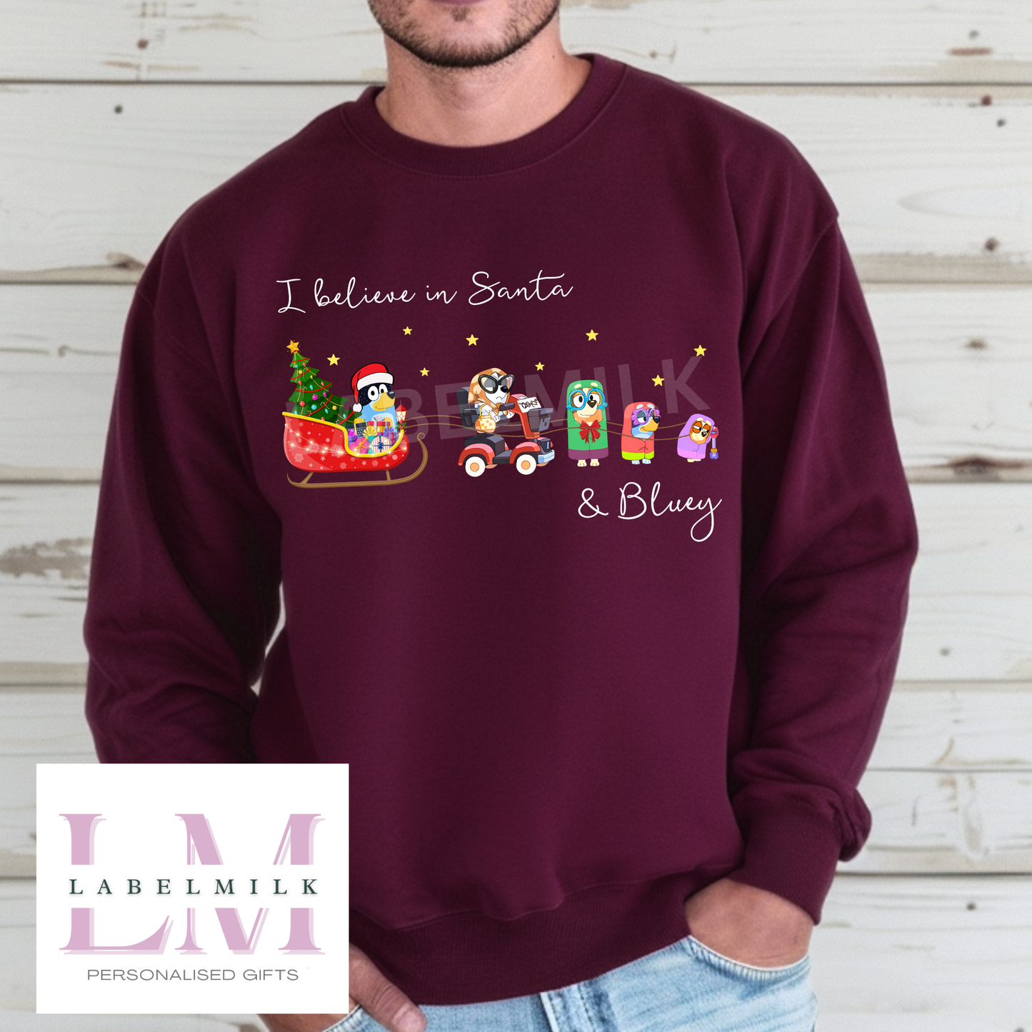 Adult Bluey Christmas Jumper