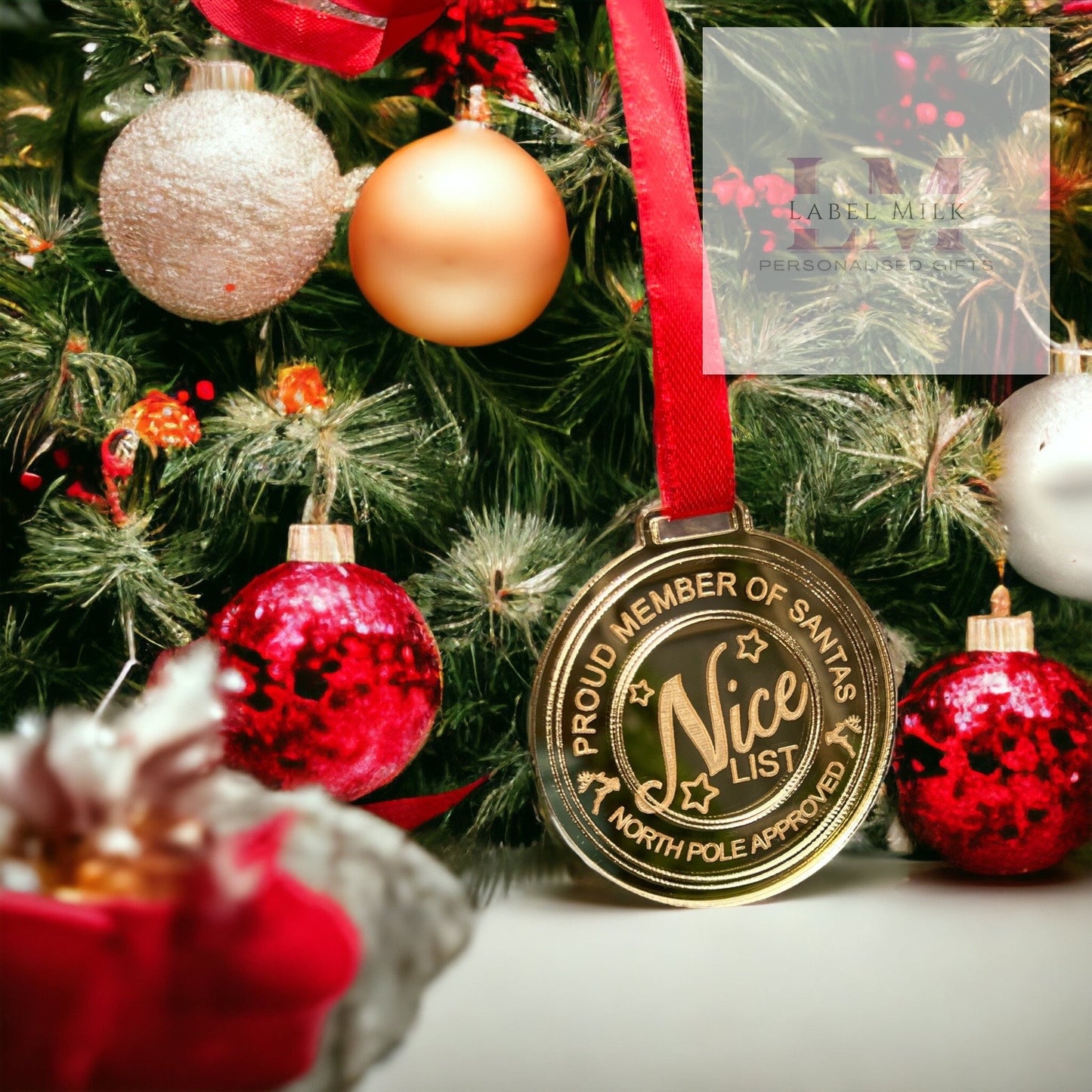 Nice List Medal