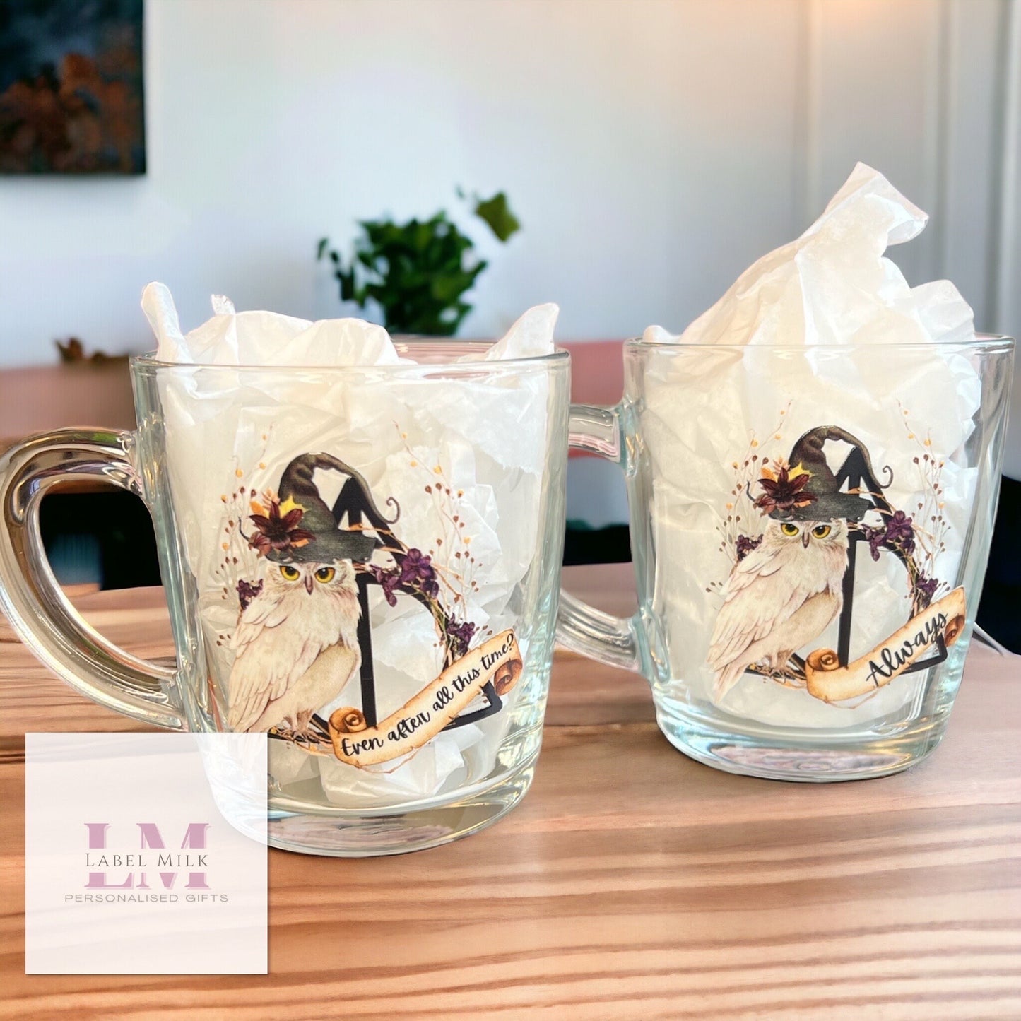 Harry Potter Glass Mug