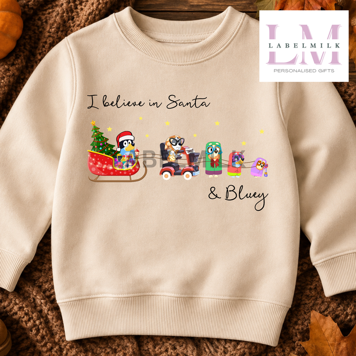 I believe In Bluey Sweatshirt - Kids Christmas Jumper